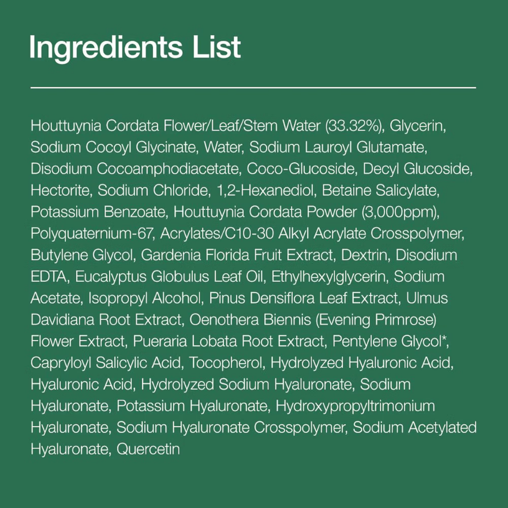 Anua Heartleaf Quercetinol Pore Deep Cleansing Foam with 0.5% BHA For Gentle Exfoliation