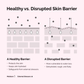 The Ordinary Soothing & Barrier Support Serum