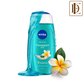 NIVEA Frangipani & care oil Body wash for long-lasting freshness