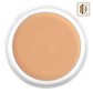 Kryolan Dermacolor Camouflage Cream