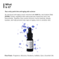 Minimalist Copper Peptide + PDRN 1.25% Serum