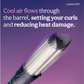 Caresmith Bloom 2-In-1 Air Styler Curler And Straightener