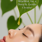 SEOULSKIN Heartleaf Pore Deep Cleansing Foam(heartleaf + BHA)