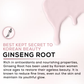 Renee Cosmetics Korean Glow Serum