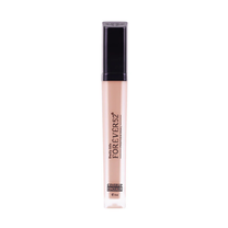 Daily Life Forever52 Coverup Concealer