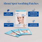 The Face Shop Dr.Belmeur Salicylic Acid Clarifying Invisible Korean Acne Patches for Pimple Care