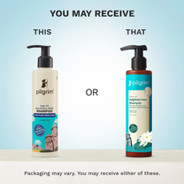 Pilgrim Argan Oil Sulphate Free Shampoo With Korean White Lotus For Shiny & Nourished Hair