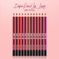 RENEE Ultra Define Matte Lip Liner, Long Lasting, Smudge Proof, Full Coverage, High Pigment