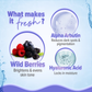 Aqualogica Skin Illuminate Duo With Illuminate Sunscreen And Hydra Gel Moisturizer