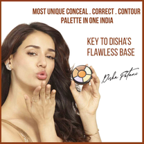 Insight Cosmetics Pro Concealer Palette