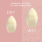 Daily Life Forever52 A Skin-Like Blend Pro Sponge - MSP006