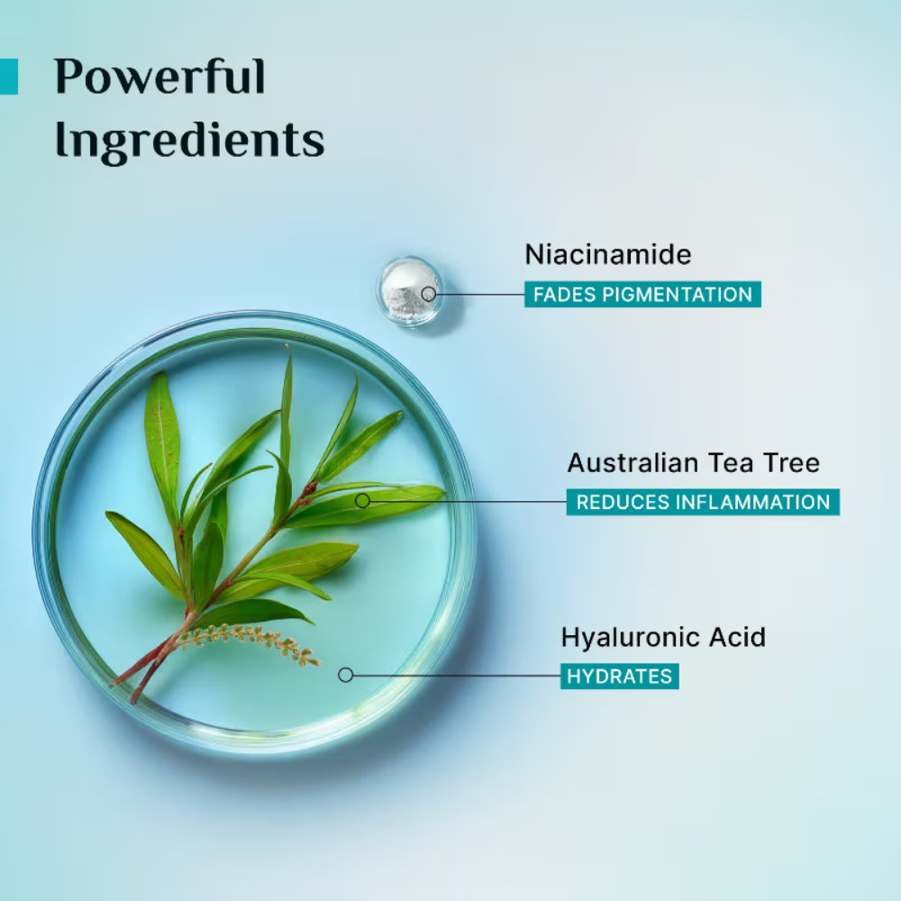 Pilgrim Tea Tree Skin Purifying & Clearing Mattifying Toner