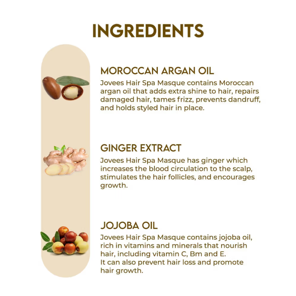 Jovees Hair Spa Masque For Dry And Fizzy Hair With Goodness Of Moroccon Argan Oil