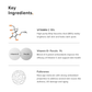 Minimalist Vitamin C + E + Ferulic 16% Face Serum