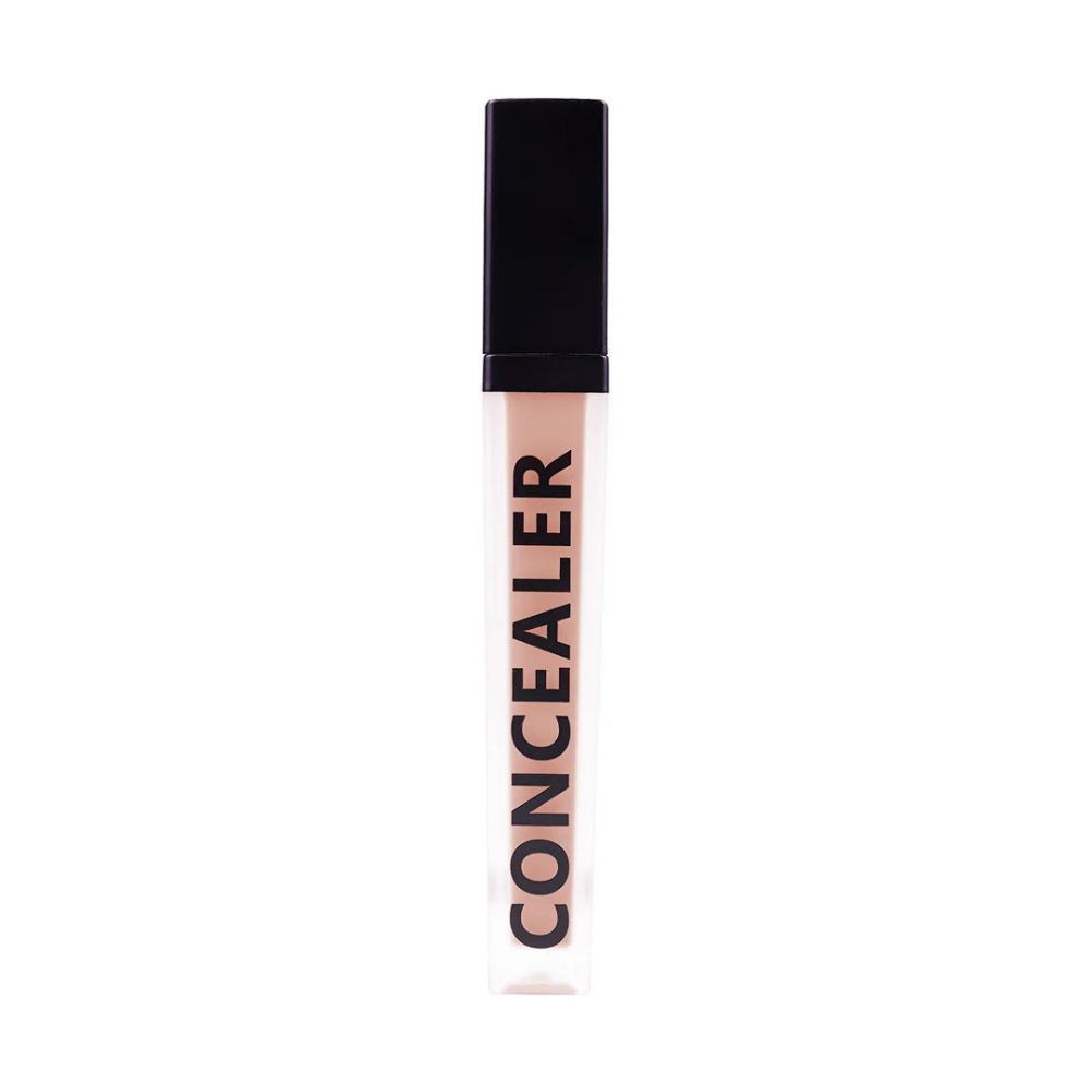 Daily Life Forever52 Coverup Concealer