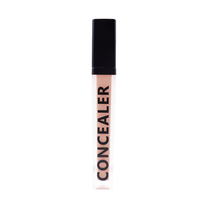 Daily Life Forever52 Coverup Concealer