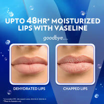 Vaseline Lip Care Lip Balm Stick