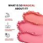 Colorbar Cheekillusion Blush