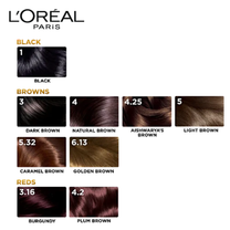 L'Oreal Paris Excellence Creme Hair Color