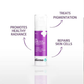 The Derma Co 2% Kojic Acid Face Cream For Pigmentation