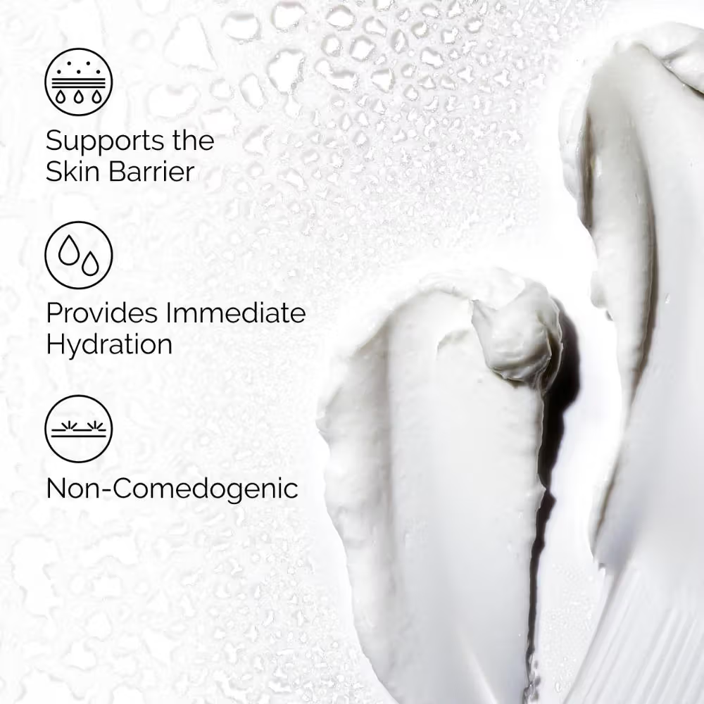 The Ordinary Natural Moisturizing Factors + HA