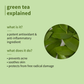 Plum Green Tea Oil-Free Moisturizer With Niacinamide For Oily, Acne Prone Skin