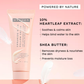Hyphen 10% Heartleaf & 7% Ceramides-NMF Face Moisturizer| Rich Pillow Cream For Hydration