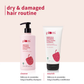 Plum Hibsicus & Ceramides Shampoo and Conditioner Duo Combo