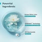 Pilgrim Korean White Lotus Tinted Sunscreen SPF 50+ PA++++ With 3% Niacinamide
