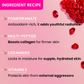 Dot & Key Pomegranate + Peptide Youth Restore Moisturizer SPF 30, With Ceramide