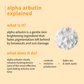 Plum 2% Alpha Arbutin & Hyaluronic Acid Face Serum