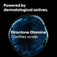 L'Oreal Professionnel Scalp Advanced Anti-Dandruff Shampoo+ Anti-Oiliness 2-In-1 Deep Purifier Clay