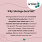 Dot & Key Moringa & Argan Hairfall Control Shampoo, With Pea Peptide & Cysteine, Sulphate-Free